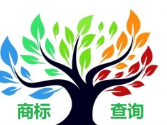 如何應(yīng)對商標查詢盲期？